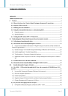 The Easter Island Pentagon Framework - Page 3