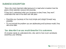 Startup Pitch Deck Template - Page 4