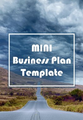 Mini Business Plan Template