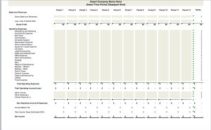 Income Statement and Balance Sheet Template