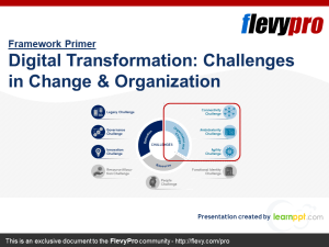 Digital Transformation: Challenges in Change & Organization