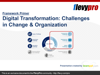 Digital Transformation: Challenges in Change & Organization