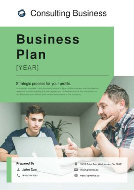 Consulting Business Plan Example