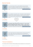 Expanded Freight Trucking Business Plan Example - Page 7