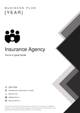 Insurance Agent Business Plan Example