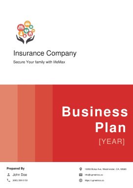 Insurance Company Business Plan Example