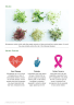 Microgreens Business Plan Example - Page 8