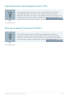Online Shopping Store Business Plan Example - Page 7