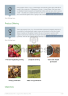 Organic Farm Business Plan Example - Page 7