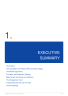 SaaS Business Plan Example - Page 6