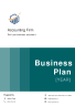 Accounting Firm Business Plan Example - Page 1
