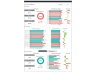 Budget vs Actual Dashboard - Financial Dashboard Template