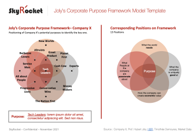 Joly's Corporate Purpose Framework Model