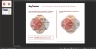 Joly's Corporate Purpose Framework Model