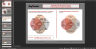 Joly's Corporate Purpose Framework Model