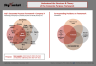 Joly's Corporate Purpose Framework Model