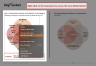 Joly's Corporate Purpose Framework Model