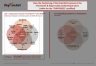 Joly's Corporate Purpose Framework Model