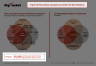 Joly's Corporate Purpose Framework Model