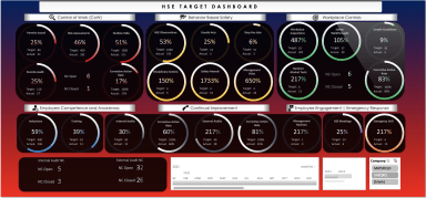 HSE Performance Monitoring Tool - Officer Version