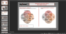Ikigai Framework Template