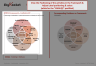 Ikigai Framework Template