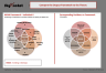 Ikigai Framework Template