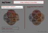 Ikigai Framework Template