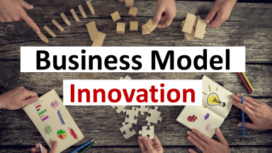 Business Model Innovation for Management Consultants