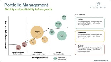 Portfolio Management Powerpoint Template