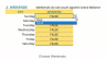Employee Leave Manager Excel Template