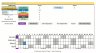 Employee Leave Manager Excel Template