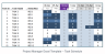 Project Manager Excel Template
