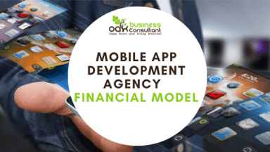 Mobile App Development Agency Excel Financial Model Template