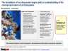 Human Resources (HR) Ecosystem
