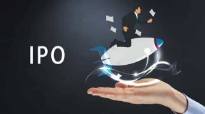 IPO Valuation Model