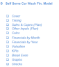Self Serve Car Wash Financial Model Template