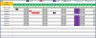 PTO Tracker & Calculator for Salaried Employees