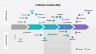 Customer Journey Maps