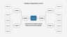 Organization Charts