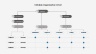 Organization Charts