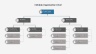 Organization Charts