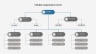Organization Charts