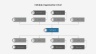 Organization Charts