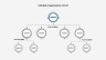 Organization Charts