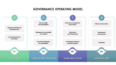 Deloitte Governance Model
