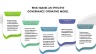 Deloitte Governance Model