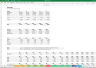 Freelancer SaaS Platform Financial Excel Model  + Video Tutorial