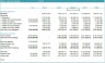 Logistic startup DCF Financial Model - 5 Year Forecast & Scenarios Analysis