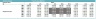 Project Boutique Hotel 5-Year DCF Advanced Financial Model